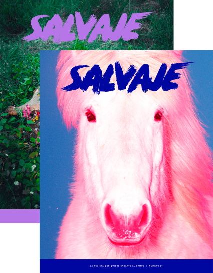 Salvaje nº 27 + 26