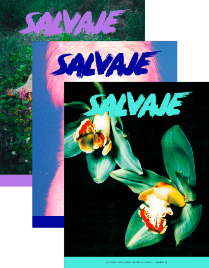 Salvaje nº 28 + 27 + 26