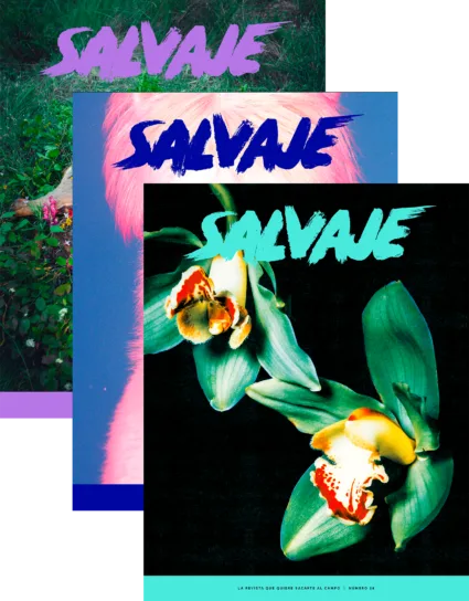 Salvaje nº 28 + 27 + 26