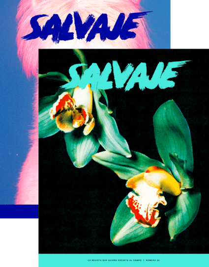 Salvaje nº 28 + 27