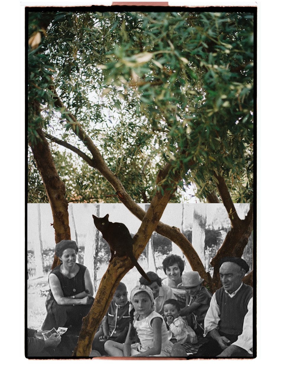 Fotografía en blanco y negro de un grupo de personas bajo un árbol, con las ramas del árbol superpuestas en color.