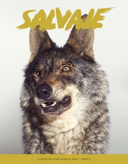 Salvaje nº 11