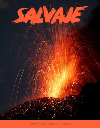 Salvaje nº 12