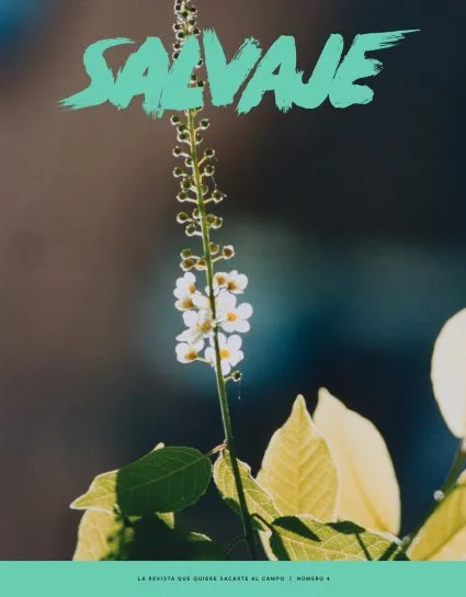 Salvaje nº 4