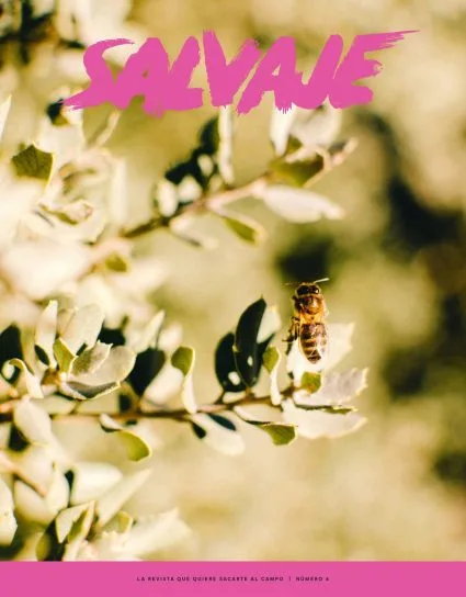 Salvaje nº 8
