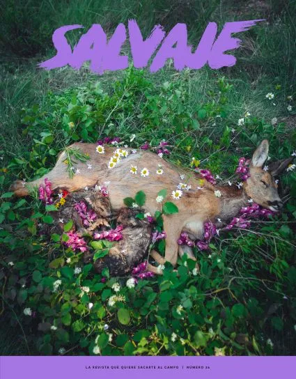 Salvaje nº 26