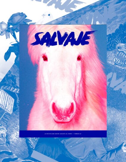 Suscripción anual + Salvaje nº 27