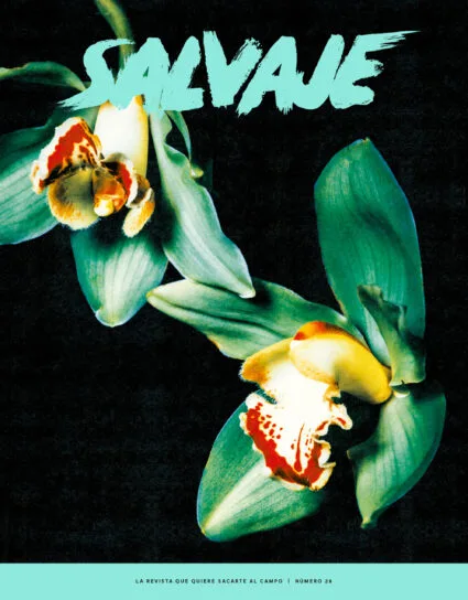 Salvaje nº 28