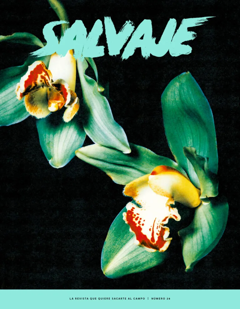 Salvaje nº 28