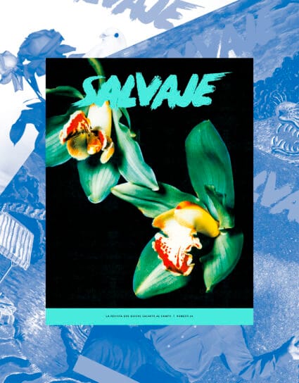 Suscripción anual + Salvaje nº 28