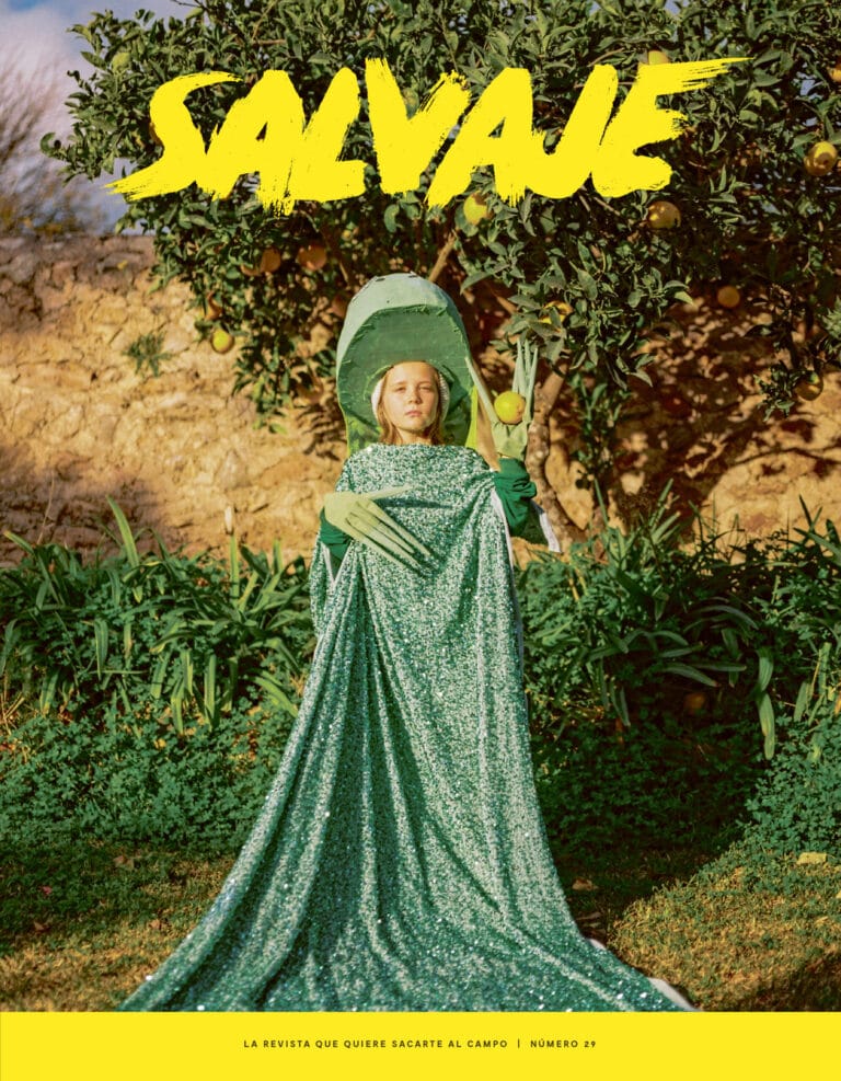 Salvaje nº 29