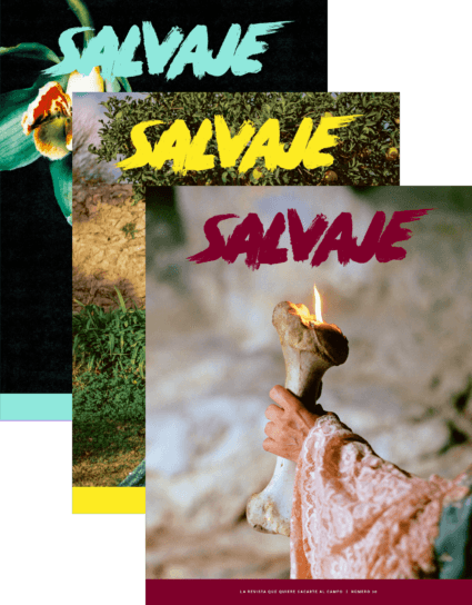 Salvaje nº 30 + 29 + 28