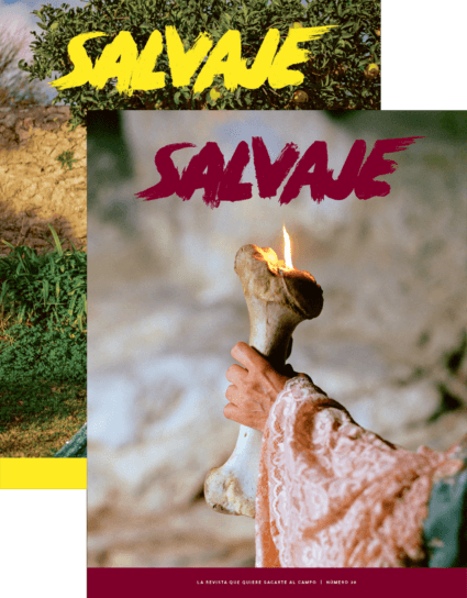 Salvaje nº 30 + 29