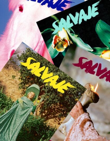 Suscripción anual a Salvaje: las cuatro últimas portadas