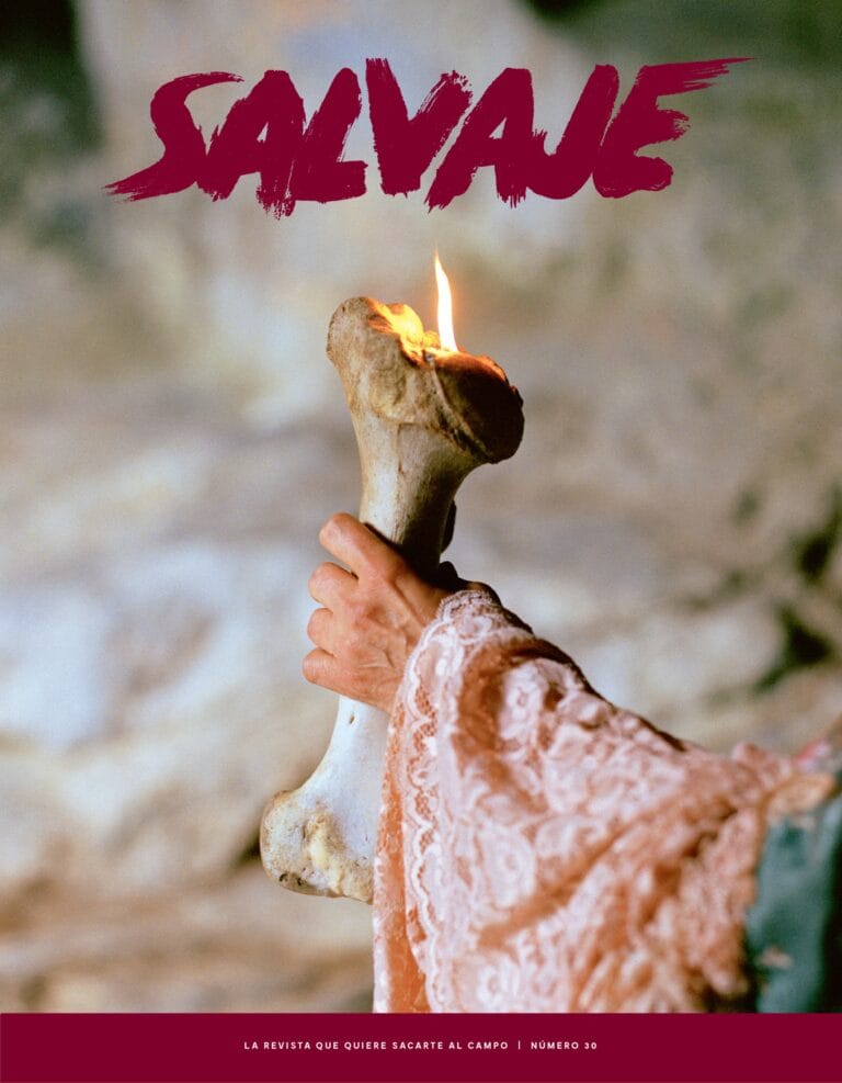 Portada de Salvaje nº 30